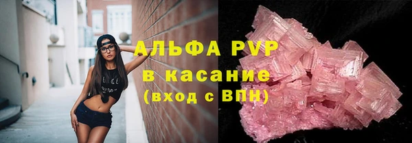 PSILOCYBIN Аркадак